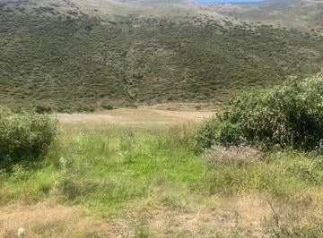 Venta 50000 m Terreno Sector Calacalí, No Industrial — imagen 3