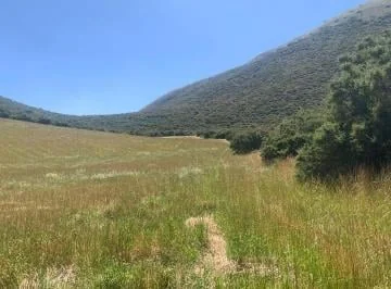 Venta 50000 m Terreno Sector Calacalí, No Industrial — imagen 2