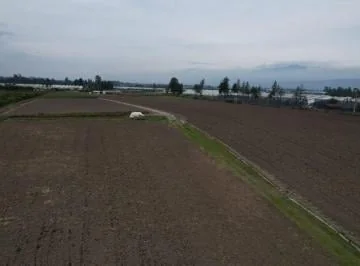 Oportunidad de Inversión - Terreno de 52534 m² en Venta en Ascázubi - Único Dueño — imagen 5