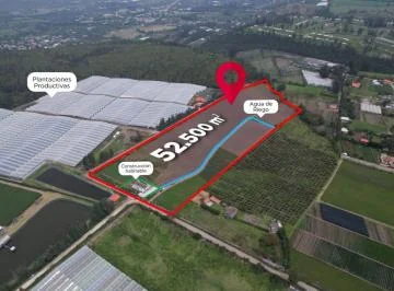 Oportunidad de Inversión - Terreno de 52534 m² en Venta en Ascázubi - Único Dueño — imagen 4