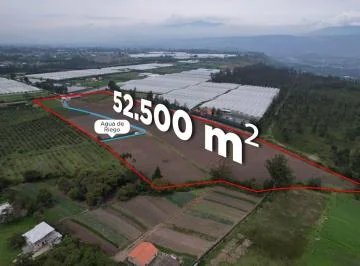 Oportunidad de Inversión - Terreno de 52534 m² en Venta en Ascázubi - Único Dueño — imagen 3
