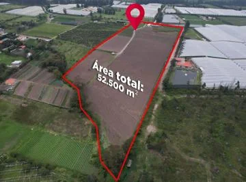 Oportunidad de Inversión - Terreno de 52534 m² en Venta en Ascázubi - Único Dueño — imagen 2
