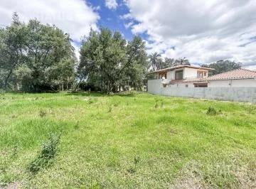 Vendo Terreno de 500 m² en Urb. Privada en Santa Rosa de Lima — imagen 4