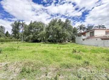 Vendo Terreno de 500 m² en Urb. Privada en Santa Rosa de Lima — imagen 3