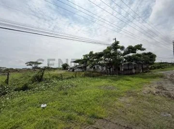 Venta de Terreno Sobre La Via Salitre, Guayas — imagen 4