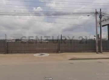 Alquiler de Terreno en Vía Daule, Guayas — imagen 5