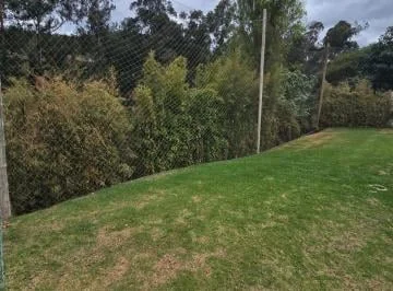 Casa en Renta — imagen 3