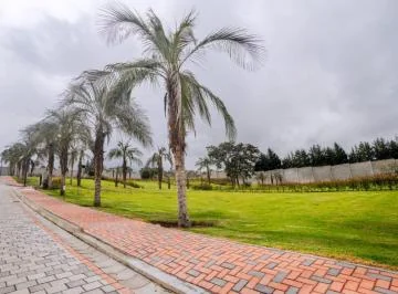 Lotes Unifamiliares en Exclusiva Urbanización – Puembo por Colegio Americano — imagen 5