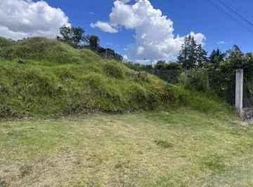 Venta Terreno Independiente Via Pifo — imagen 4