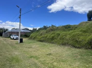 Venta Terreno Independiente Via Pifo — imagen 3