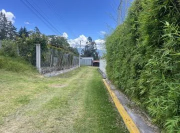 Venta Terreno Independiente Via Pifo — imagen 2