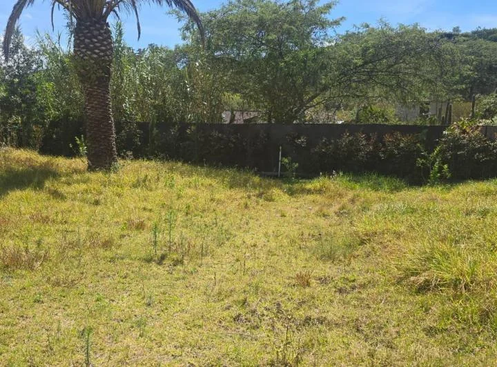 Terreno Venta Riel de La Viña — imagen 1