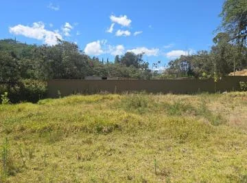 Terreno Venta Riel de La Viña — imagen 5