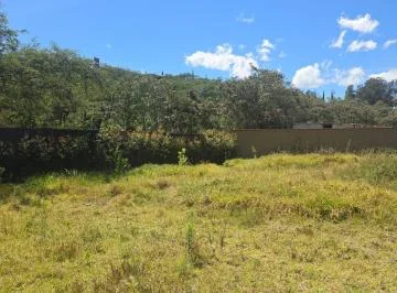 Terreno Venta Riel de La Viña — imagen 4