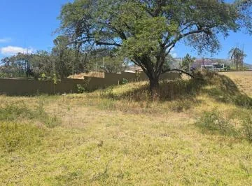 Terreno Venta Riel de La Viña — imagen 3