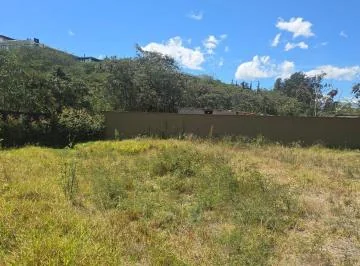 Terreno Venta Riel de La Viña — imagen 2