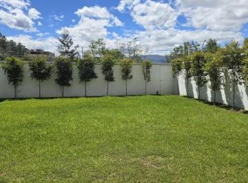 Departamento Venta — imagen 2