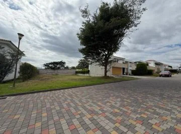 "último Lote Disponible en San Antonio de Arrayanes – Puembo 700 M²" — imagen 2