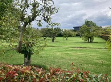 Venta Terreno 1250 m² Puembo — imagen 5