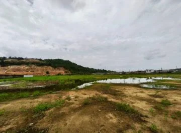 Terreno en Alquiler, La Joya, Junto a Etapa Esmeralda y Cimabela, Cerca de Novocentro. 16.746 m². Guayas — imagen 5