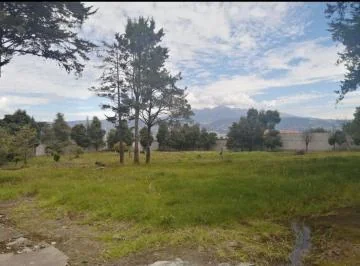 Oportunidad Venta Terreno Tumbaco Ideal Para Constructor 7.417 m. Provincia de Pichincha — imagen 4