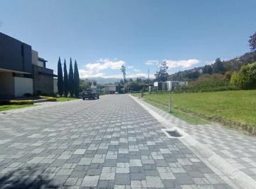 Terreno Premium de 754 m² en Venta | Urbanización Pacho Salas, Tumbaco — imagen 4