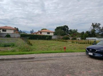 Tterreno de Venta en Tumbaco — imagen 5