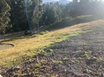 Venta Terreno 3500 m² Valle de Los Chillos Altos de Betania — imagen 5
