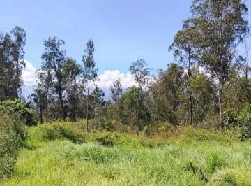 Venta de 2 Espectaculares Terrenos en Nayon — imagen 5