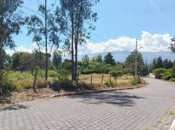 Venta de 2 Espectaculares Terrenos en Nayon — imagen 3