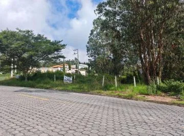 En Renta: Terreno Esquinero de 1.200 m² en Vía Principal de Nayón – Máximo Tráfico — imagen 5
