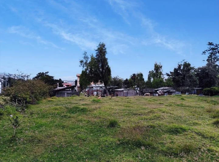 Rento Terreno 4.831 m² Tumbaco Sector Tola Chica 3 — imagen 1
