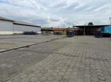 Propiedad en Alquiler 12.000 m² - Galpones y Oficinas - Vía a Daule Km 14.5 - Norte de Guayaquil -, Guayas — imagen 5