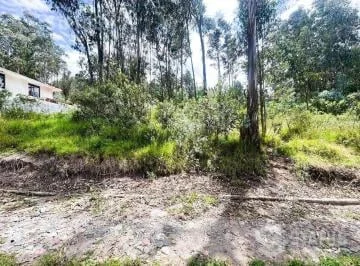 Venta de Terreno Sector Conocoto - Cerca Colegio La Salle — imagen 4
