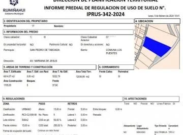 Constructores, Terreno de 1,2 Hectáreas Para Proyecto Inmobiliario — imagen 5