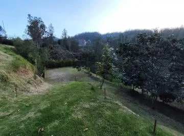 Terreno de 1500 m² en El Sector de Nayón, Ideal Para Desarrollar un Hostal de Mascotas, Guardería Ca — imagen 2