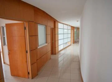 Oficina Corporativa Premium en Ubicación Estratégica en Venta 540 m². Guayas — imagen 4
