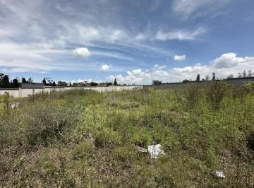 Terreno en Alquiler Tababela Cerca Al Aeropuerto — imagen 2
