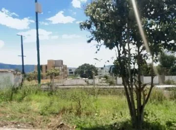 Rento Terreno 3.135 m² en La Ruta Viva Sector La Cerámica — imagen 3