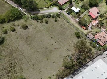 Terreno de Arriendo en Puembo 71152 m² — imagen 4