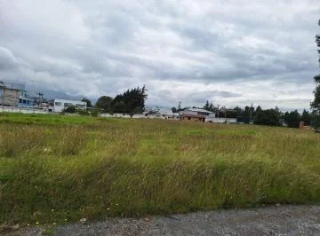 Terreno en Alquiler - 12000 m² - Av Principal - Sector Pifo — imagen 3