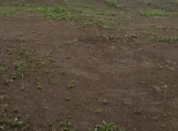 Se Vende o Se Arrienda Terreno Sector Parque Bicentenario — imagen 5