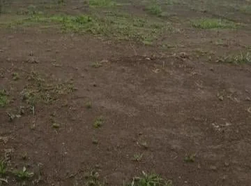 Se Vende o Se Arrienda Terreno Sector Parque Bicentenario — imagen 3