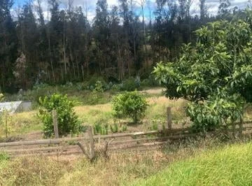 Venta Terreno en Pifo 2500 m² con Galpon — imagen 4