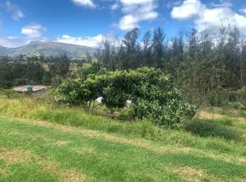 Venta Terreno en Pifo 2500 m² con Galpon — imagen 3