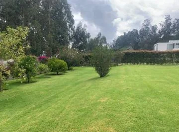 Casa en Venta Sector Pifo Dentro de un Conjunto de 11 Casas 2380 m² de Terreno — imagen 2