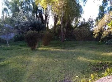 Venta Terreno en Checa 11.225 m² Propiedad en Produccion — imagen 4