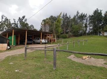 Venta Terreno en Checa 11.225 m² Propiedad en Produccion — imagen 3