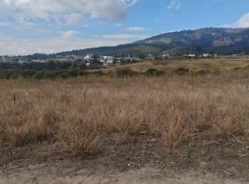 Arriendo Terreno en Pifo a La Vía Principal — imagen 5