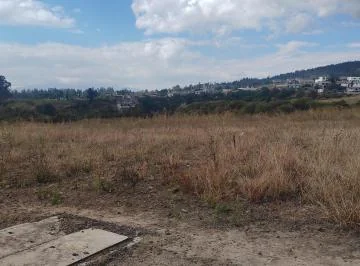 Arriendo Terreno en Pifo a La Vía Principal — imagen 4